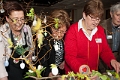 20150322 frans versteden fotografie - tilburginbeeld FRVE0817